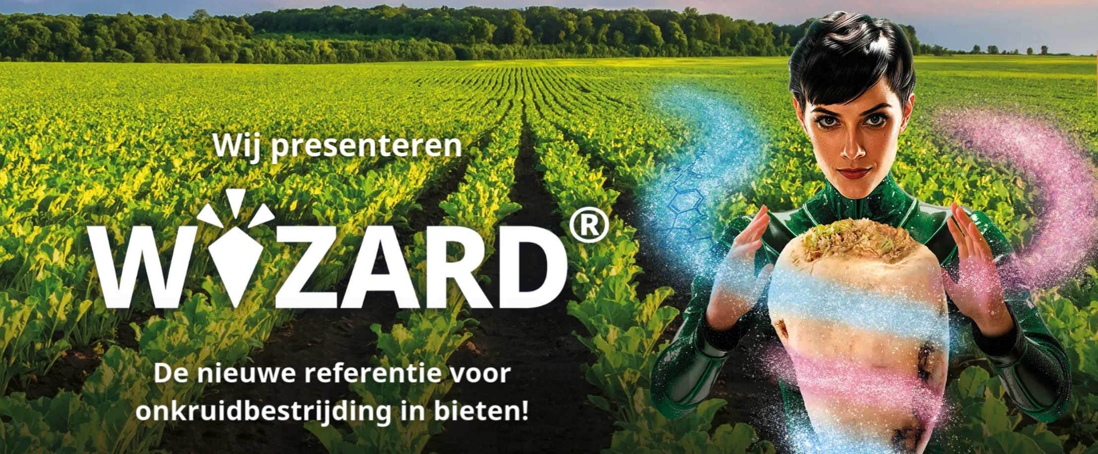 wizard cropped